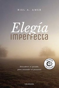 Elegía imperfecta, novela de Biel Amer