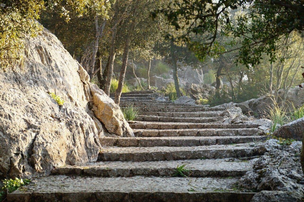 actividades familias serra de mallorca