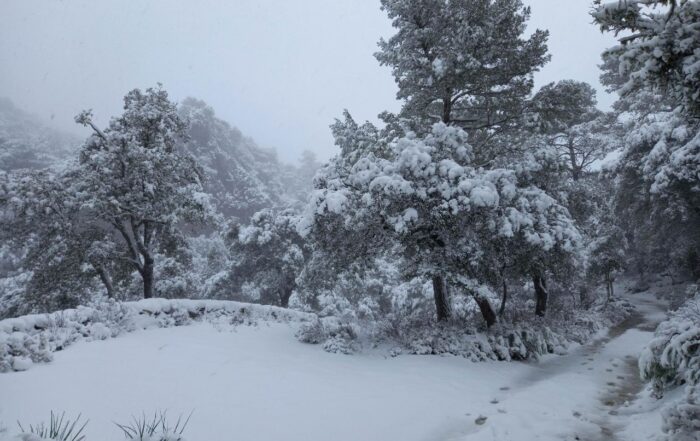 112 serra de tramuntana