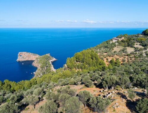 Mallorca receives 5 nominations at the World Travel Awards