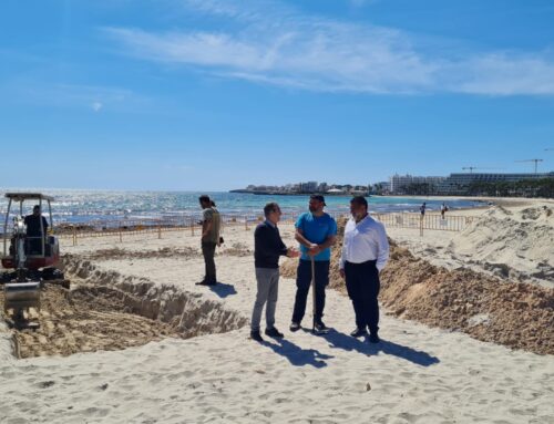 Plan de fosas: El Govern inicia los trabajos de excavación en la playa de sa Coma