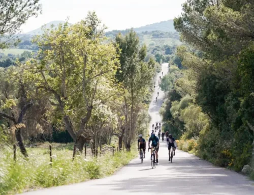 Mallorca 312 hangs the ‘sold out’ sign