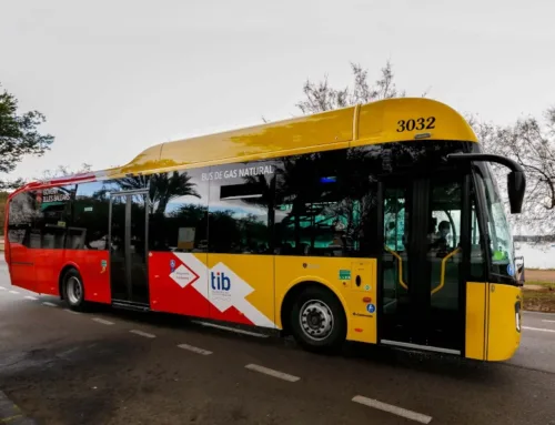 La demanda de los buses TIB crece un 42% en un año en Mallorca