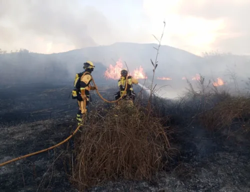 The period of high risk of fires in the Balearic Islands ends with 128.8 hectares burned