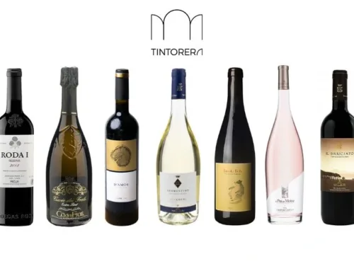 Selection of wines by Tintorera Mallorca