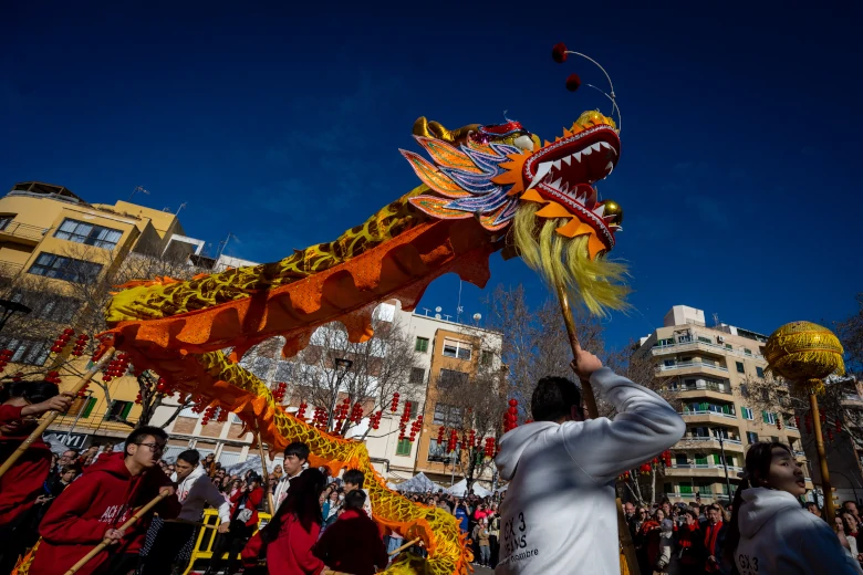 Chinese New Year Palma, dragon