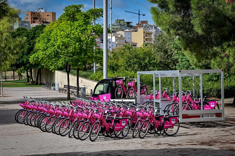 Estación de Bicipalma