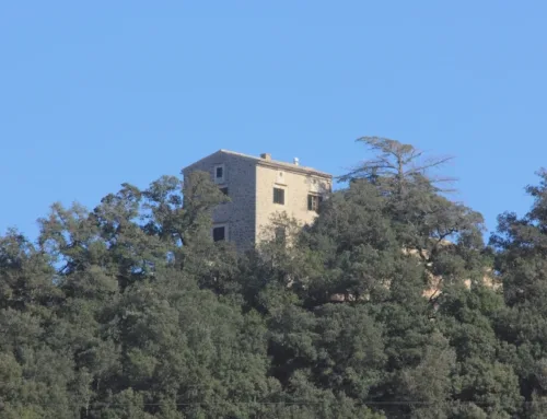 Joves a la Serra de Tramuntana 2025 ofrece una experiencia inmersiva en la naturaleza en Semana Santa