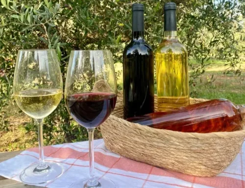 Quality wine from the Balearic Islands increases its sales by 4% in 2024