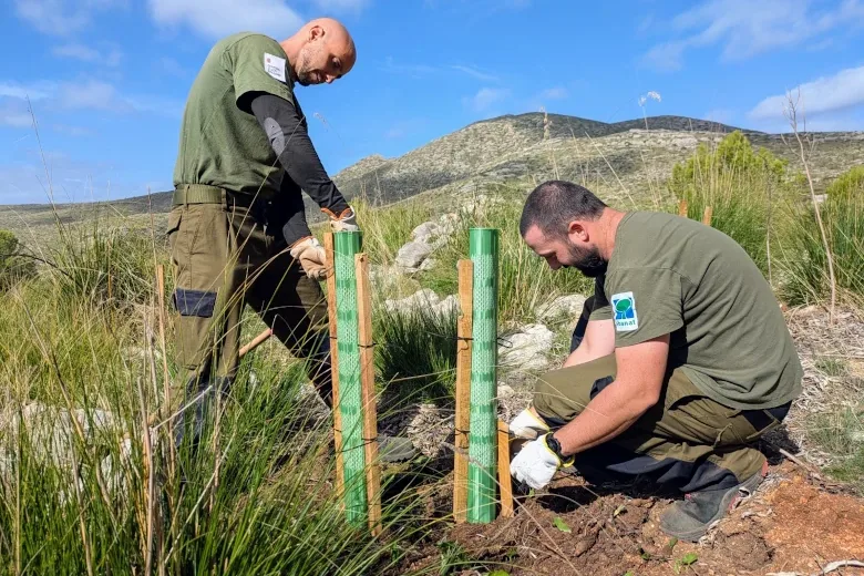 Reforestación Alqueria Vella