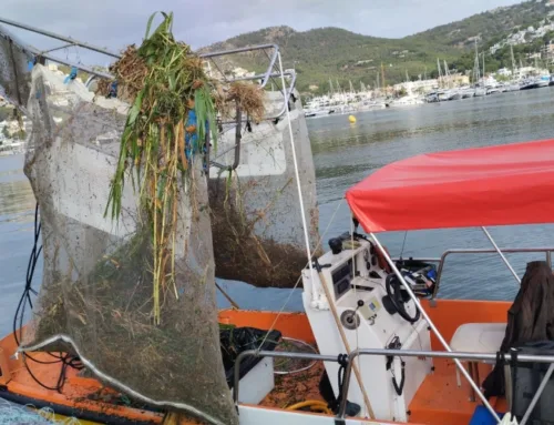 Almost 8 tonnes of waste removed from the Balearic coastline in September