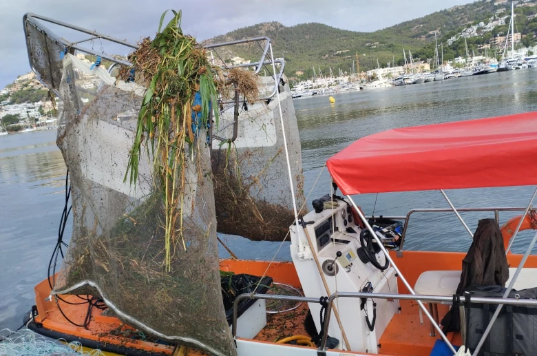 Residuos litoral septiembre 2025