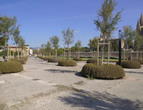 Luz verde a la fase II de la renovación del Parc de la Mar por 9,4 millones de euros