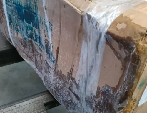 Intervienen 20 toneladas de marisco y pescado no aptos para el consumo en Palma