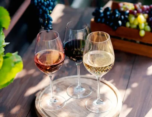 El Raïm Wine Fest vuelve a Palma con 50 bodegas mallorquinas, gastronomía y música en el Parc de la Mar