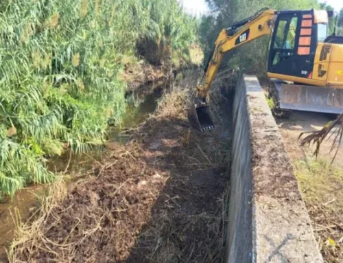 Limpieza de torrentes en Mallorca: 7,64 kilómetros acondicionados en octubre