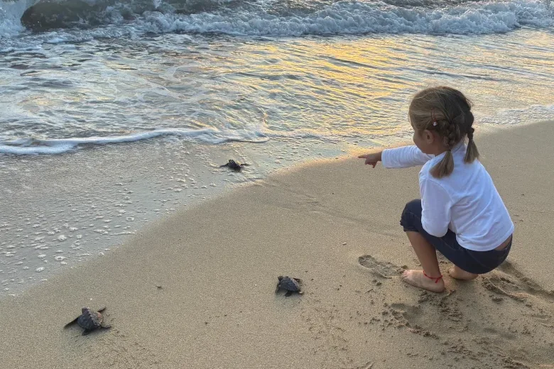 Suelta tortugas marinas 2025