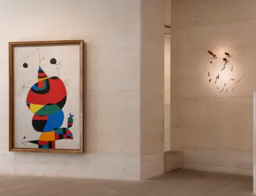 Art season in Palma: suggestions for this winter