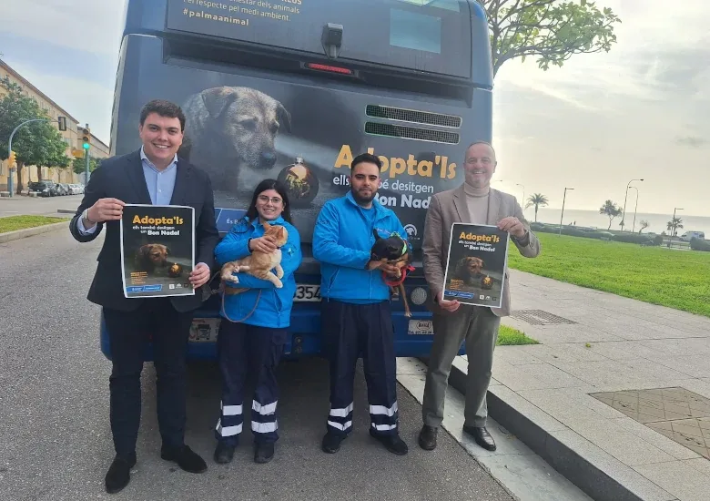 Campaña adopción animal 2025