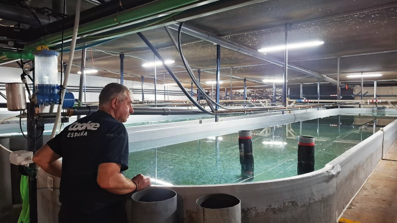 Piscifactoría Aquicultura Balear