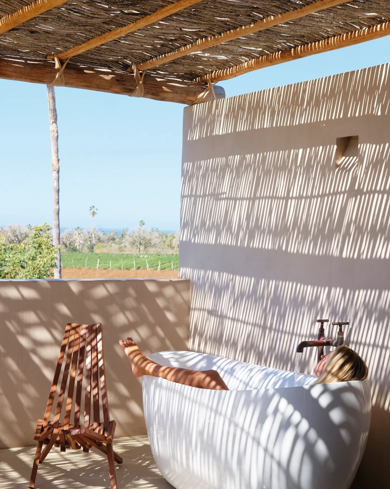 Proyecto Palmita Baja California Sur