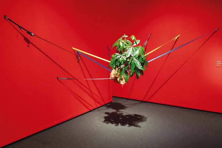 Suspended Mr. Cuddles, de Trevor Yeung