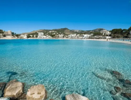 Calvià, nominada a Mejor Destino de Playa de España 2026