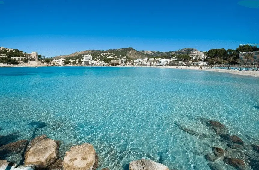 calvia destino nominado playas