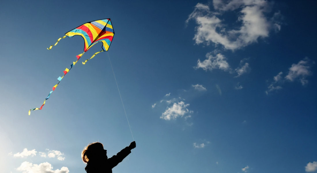 kite flying palma