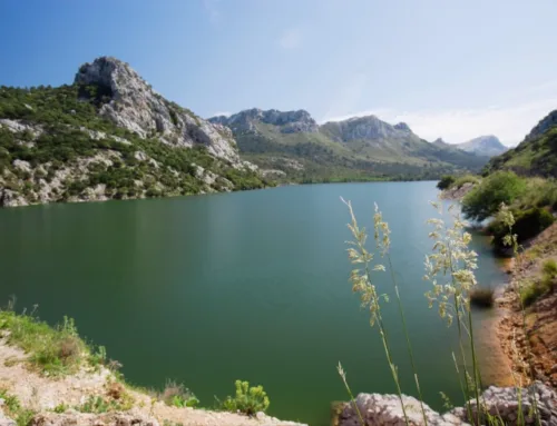Las lluvias de enero impulsan las reservas de agua de Balears hasta el 51%
