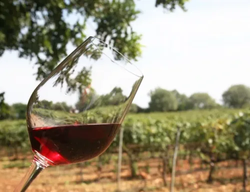 The domestic market accounts for 82% of sales of quality wine from the Balearic Islands