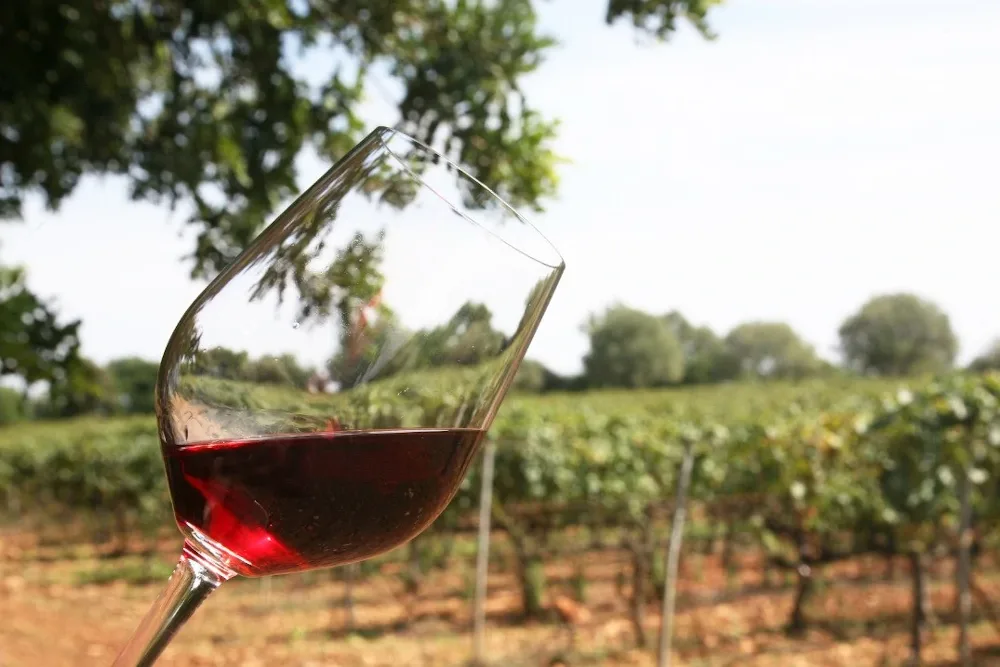 Vino de calidad de Balears