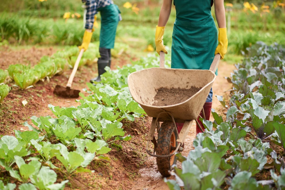agricultura ecológica en Balears