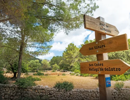 Senderismo en Calvià: Naturaleza e historia, paso a paso
