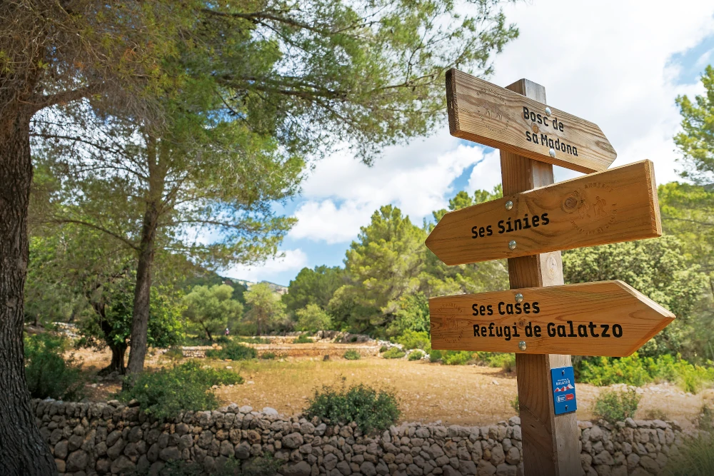 Senderismo Calvià