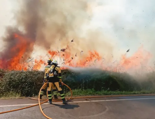 Wildfires in the Balearic Islands: the shield against fire
