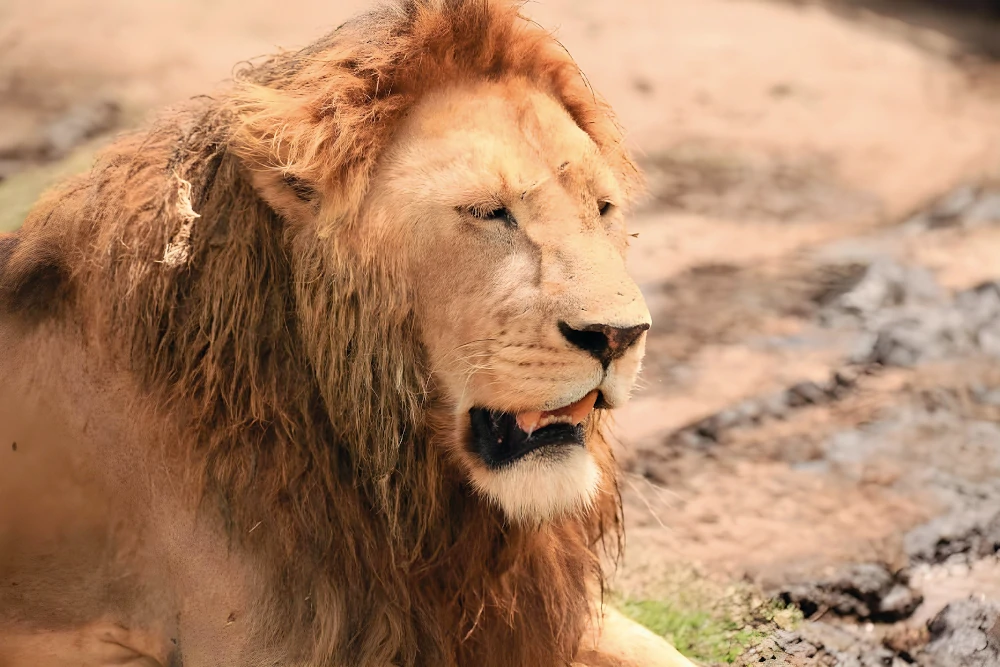 Tanzania