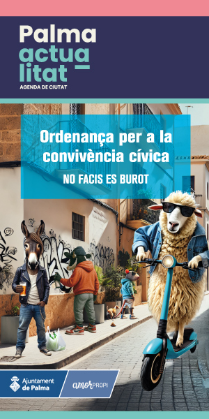 ordenanza cívica Palma