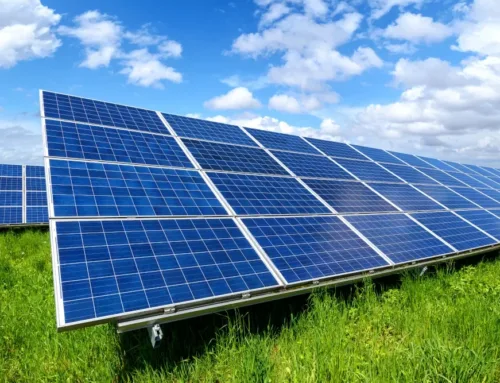 Mallorca sumará dos nuevos parques fotovoltaicos en Llucmajor con casi 50.000 paneles solares