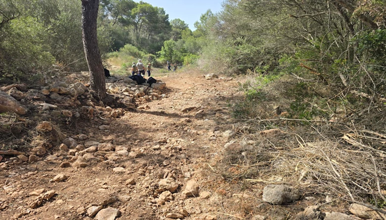 torrentes de Mallorca