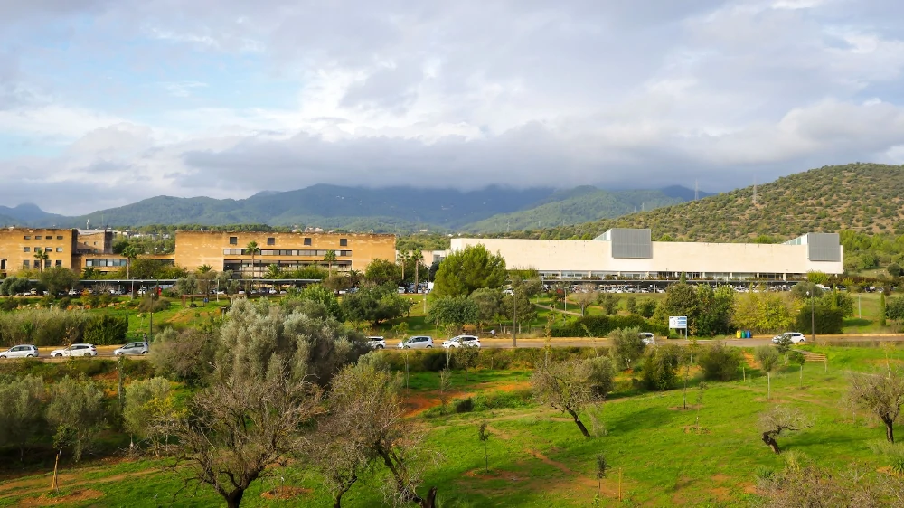 Universitat de les Illes Balears
