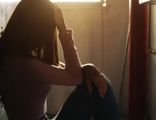 Palma identified 397 people showing evidence of sexual exploitation or trafficking in 2025