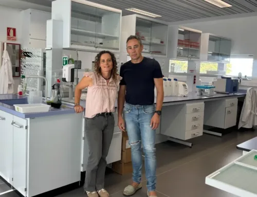 La Nit de la Recerca 2026 en Palma llenará el Moll Vell de experimentos, charlas y actividades científicas