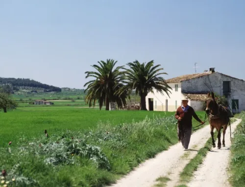 New homes on rural land in the Balearic Islands must maintain agricultural activity for 15 years
