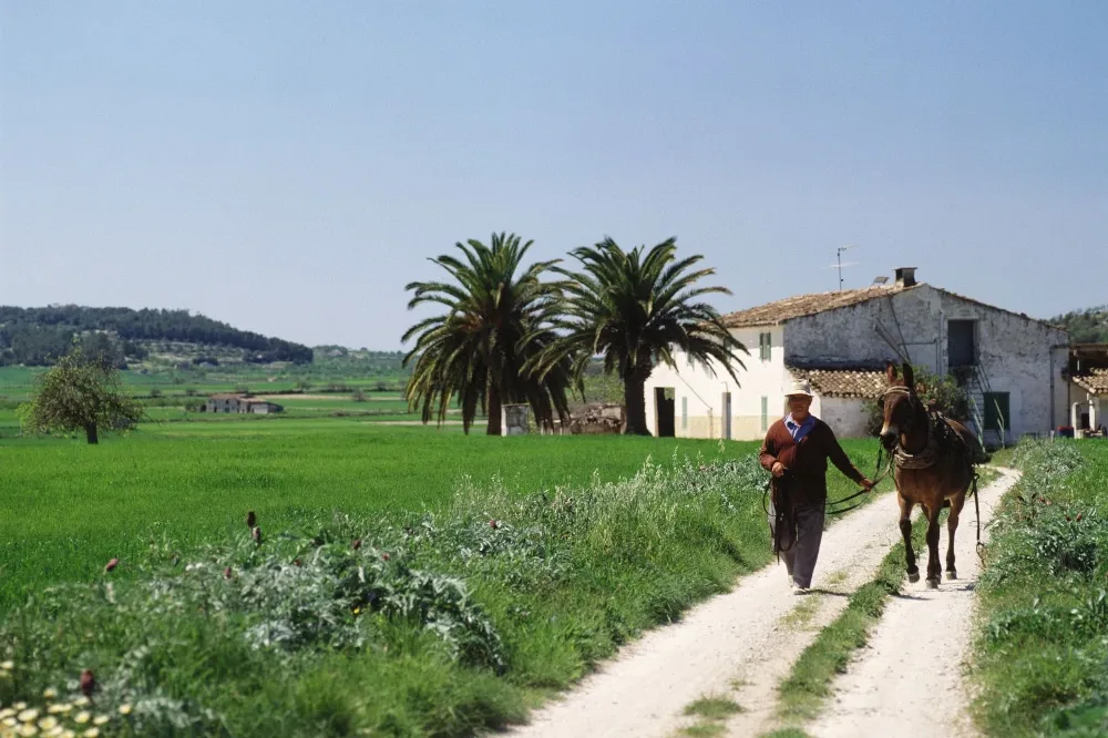 homes on rural land in the Balearic Islands