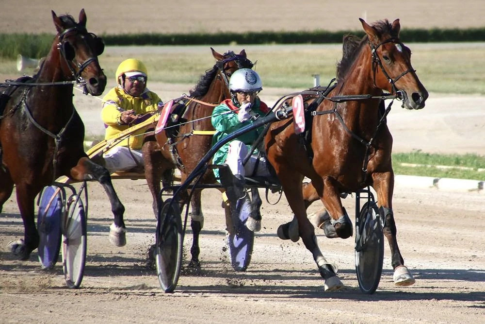 Grand Prix des Baleares de trote