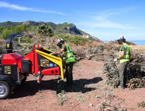 Mallorca destinará 113,8 millones de la ecotasa a 33 proyectos entre 2026 y 2027