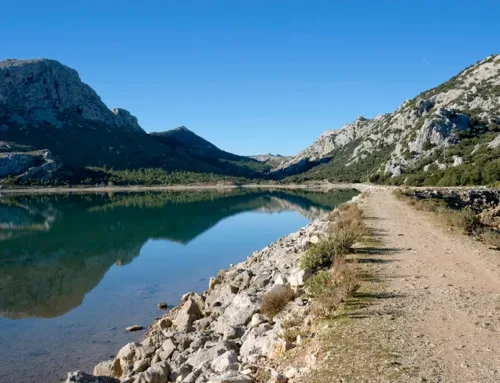 Las reservas de agua de Balears caen al 36% en septiembre, ocho puntos menos que hace un año