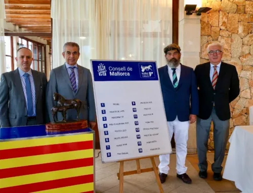 El Gran Premi del Criador 2026 reúne a 16 caballos en Son Pardo el 12 de octubre
