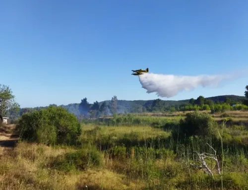 Balears cierra la campaña de alto riesgo de incendios forestales con solo 32 hectáreas quemadas pese al calor y la sequía